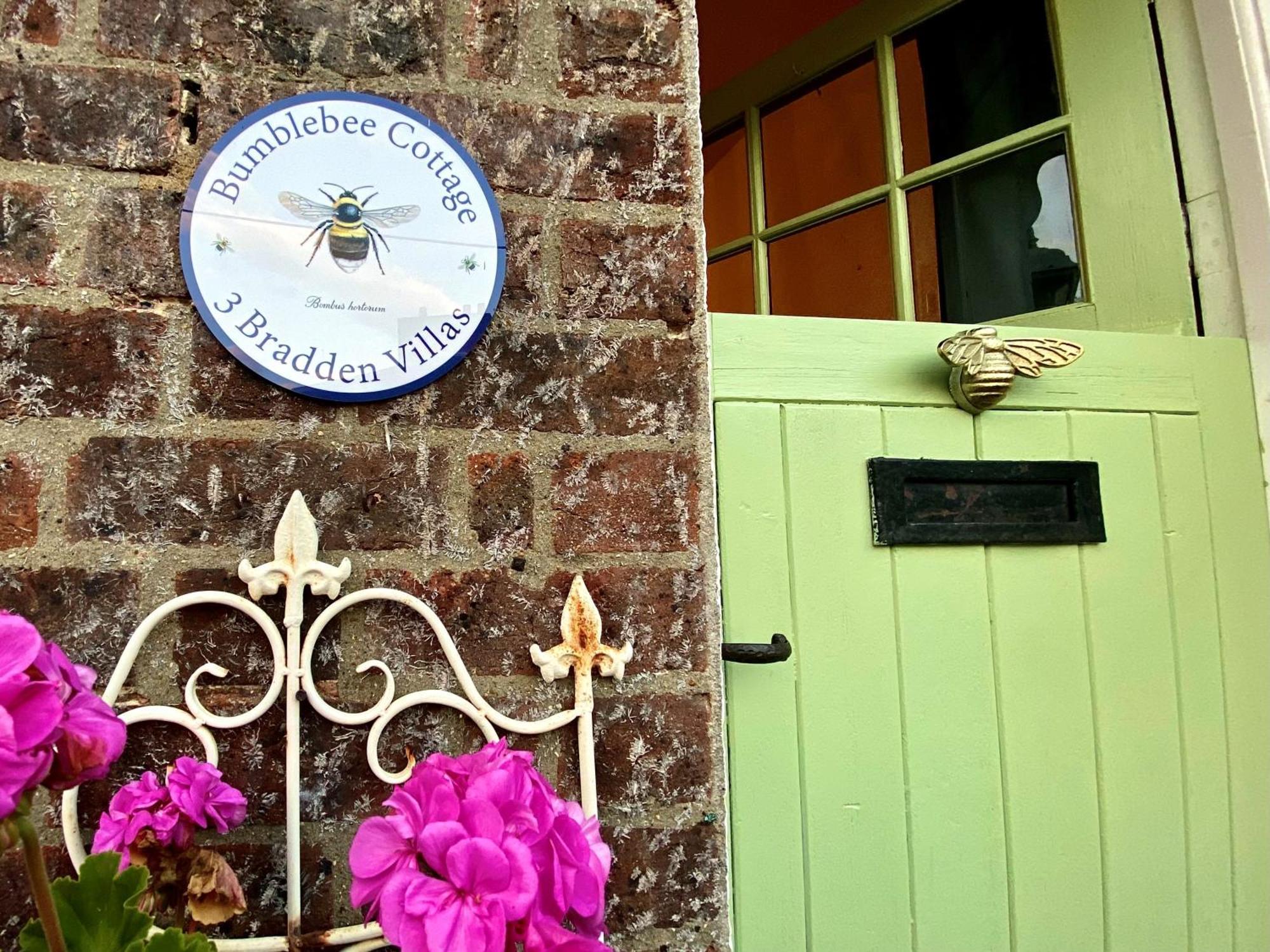 Bumblebee - Cosy In Area Of Outstanding Natural Beauty
